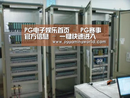 PG娱乐案例展示五