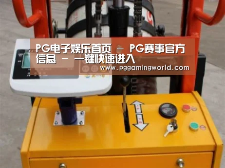 PG娱乐案例展示三