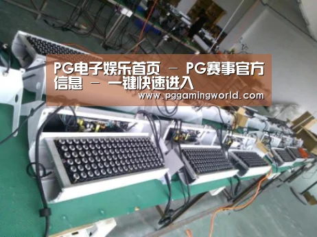 PG娱乐案例展示一(图1)