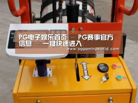 PG娱乐案例展示三(图1)