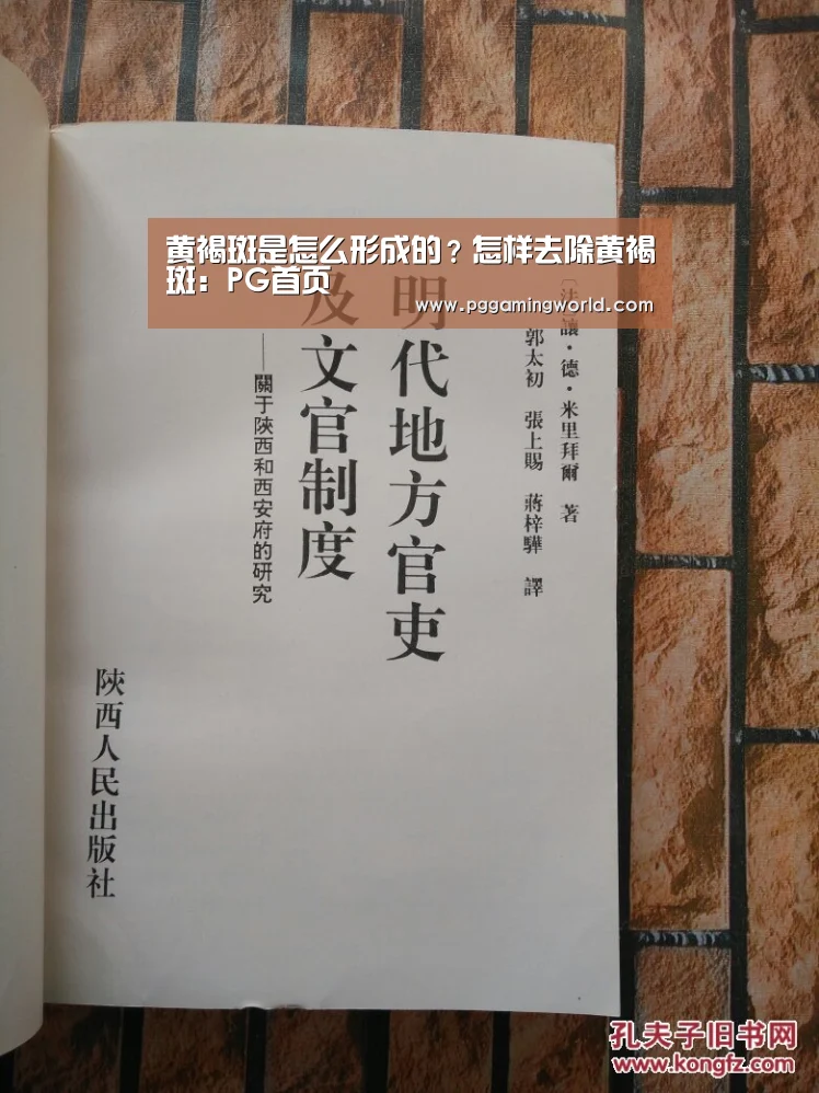 黄褐斑是怎么形成的？怎样去除黄褐斑：PG