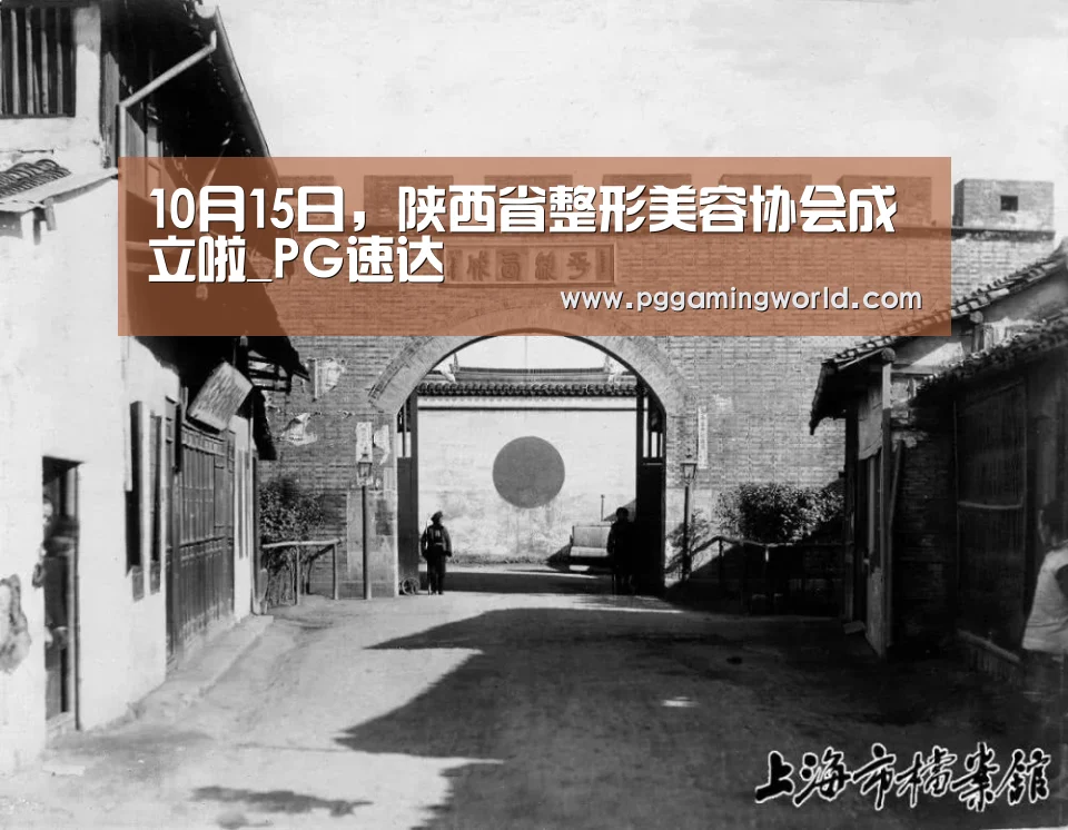 10月15日,陕西省整形美容协会成立啦_PG速达(图1) PG赛事