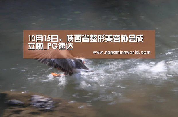 10月15日,陕西省整形美容协会成立啦_PG速达(图2) PG速达