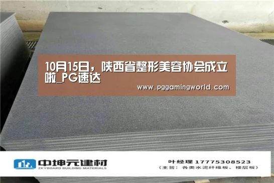 10月15日,陕西省整形美容协会成立啦_PG速达(图4) PG赛事