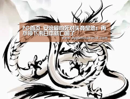 PG首页_安倍最怕死对头竟是他!再不停下来日本就亡国了(图3) PG首页