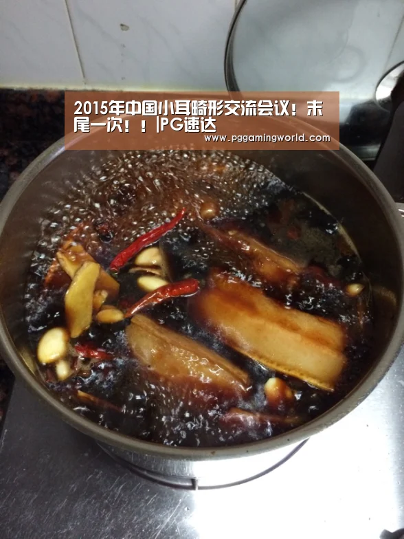 2015年中国小耳畸形交流会议!末尾一次!!|PG速达(图2) PG首页