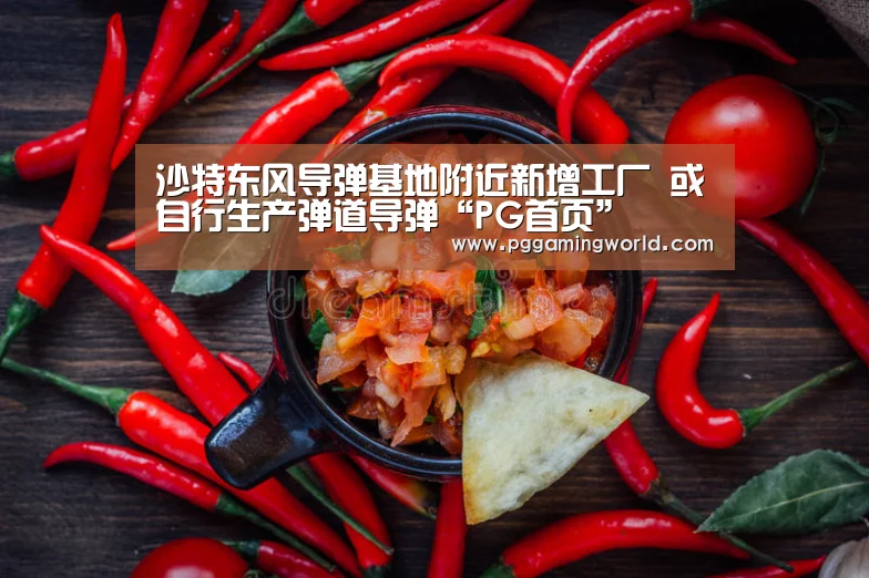 沙特东风导弹基地附近新增工厂 或自行生产弹道导弹“PG首页”(图2) PG娱乐