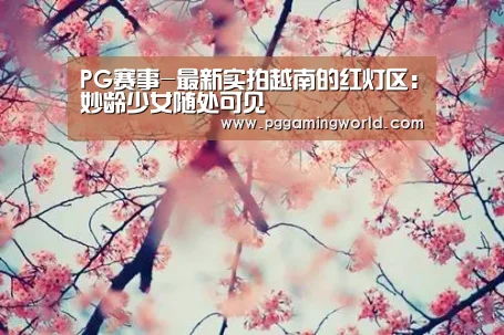 PG赛事