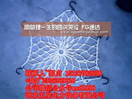 周总理一生的四次哭泣_PG速达(图1) PG速达