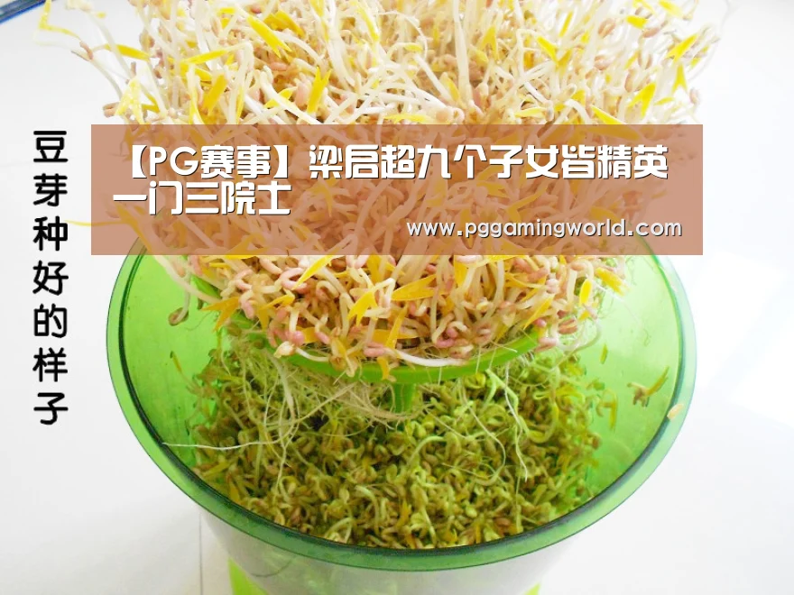 【PG赛事】梁启超九个子女皆精英一门三院士(图3) PG赛事
