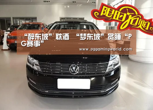 “醉东坡”耽酒 “梦东坡”贪睡“PG赛事”(图2) PG赛事