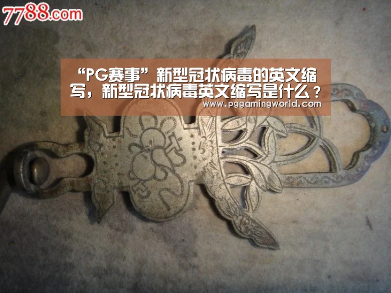 “PG赛事”新型冠状病毒的英文缩写,新型冠状病毒英文缩写是什么?(图3) PG首页