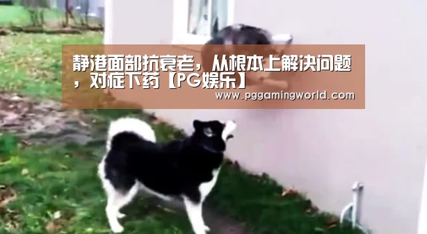 静港面部抗衰老,从根本上解决问题,对症下药【PG娱乐】(图1) PG速达