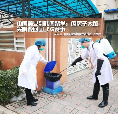 中国美女到韩国留学:因房子太破哭喊要回国_PG赛事(图1) PG首页