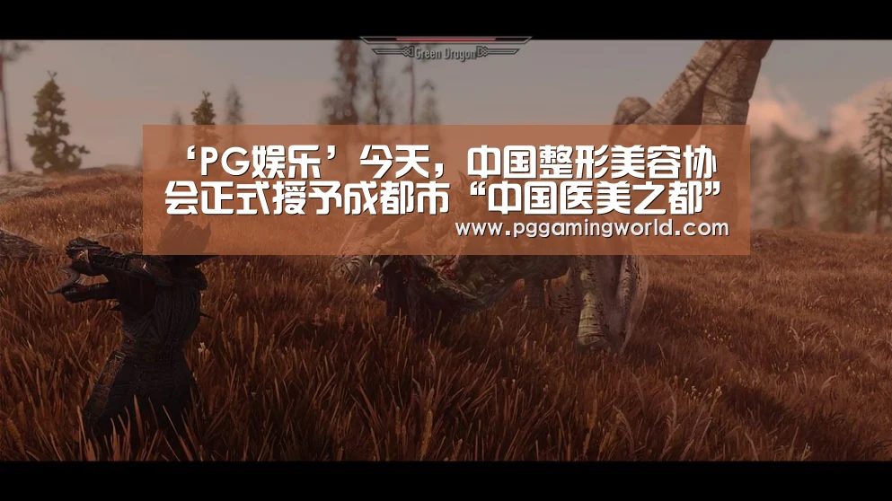 ‘PG娱乐’今天,中国整形美容协会正式授予成都市“中国医美之都”称号(图2) PG速达