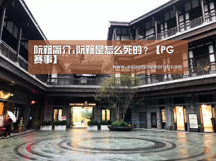 阮籍简介,阮籍是怎么死的?【PG赛事】(图2) PG首页
