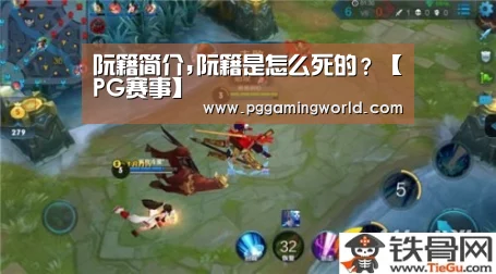 阮籍简介,阮籍是怎么死的?【PG赛事】(图3) PG赛事