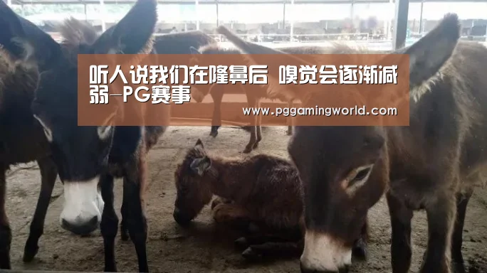 PG首页