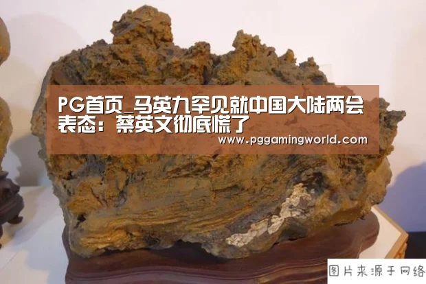 PG首页_马英九罕见就中国大陆两会表态:蔡英文彻底慌了(图2) PG赛事