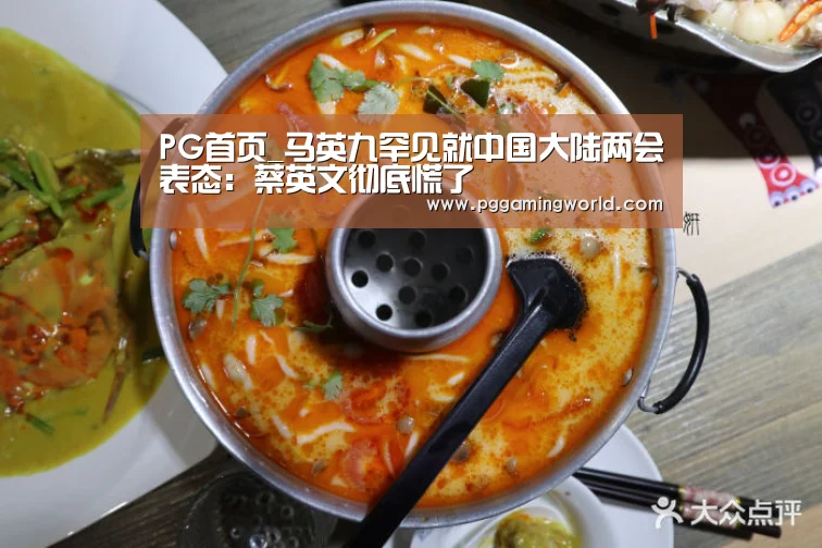 PG首页_马英九罕见就中国大陆两会表态:蔡英文彻底慌了(图3) PG首页