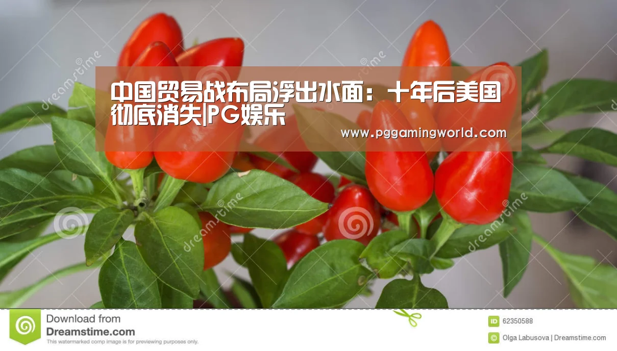 中国贸易战布局浮出水面:十年后美国彻底消失|PG娱乐(图1) PG娱乐